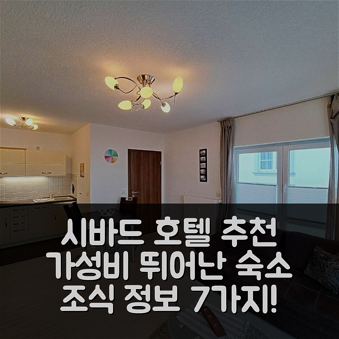 시바드 헤링스도프 숙소 여행 호텔 추천 아파트먼트 제룻 | 위치와 가성비가 뛰어난 조식 정보 7가지