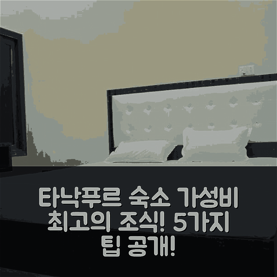 타낙푸르 숙소 여행 호텔 추천 오요 36989 호텔 솔리테어 | 가성비 최고의 조식과 위치 정보 5가지 팁