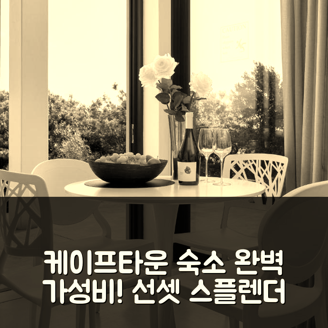 케이프타운 숙소 여행 호텔 추천 선셋 스플렌더 게스트하우스 | 가성비와 조식, 수영장 완벽 조화의 5가지 이유