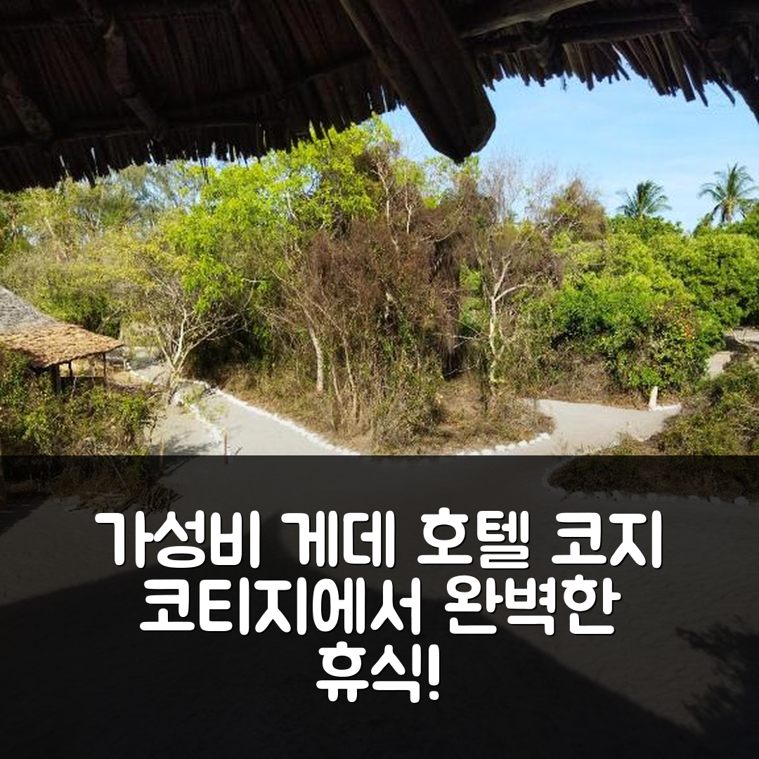 게데 숙소 여행 호텔 추천 미다 크리크 에코 캠프 | 3가지 가성비 좋은 조식과 코지 코티지의 완벽한 휴식