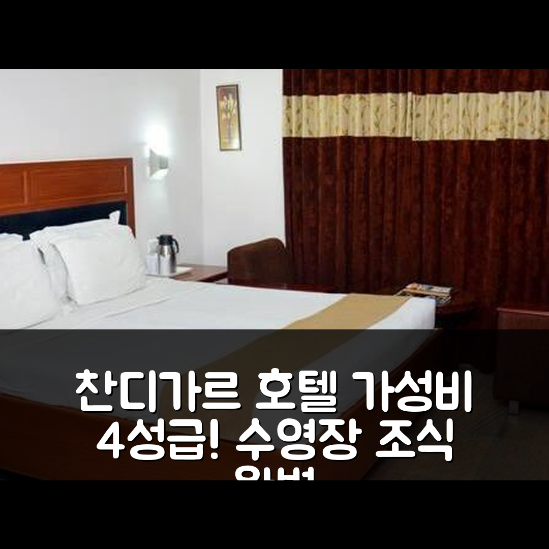 찬디가르 숙소 여행 호텔 추천 펀자브 팰리스 | 4성급 가성비와 조식, 수영장 완벽한 선택 7가지 이유
