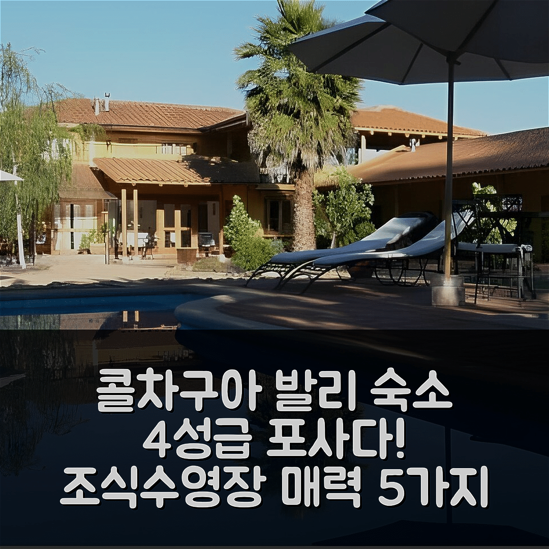 콜차구아 발리 숙소 여행 호텔 추천 포사다 콜차구아 | 4성급 조식과 수영장이 매력적인 이유 5가지