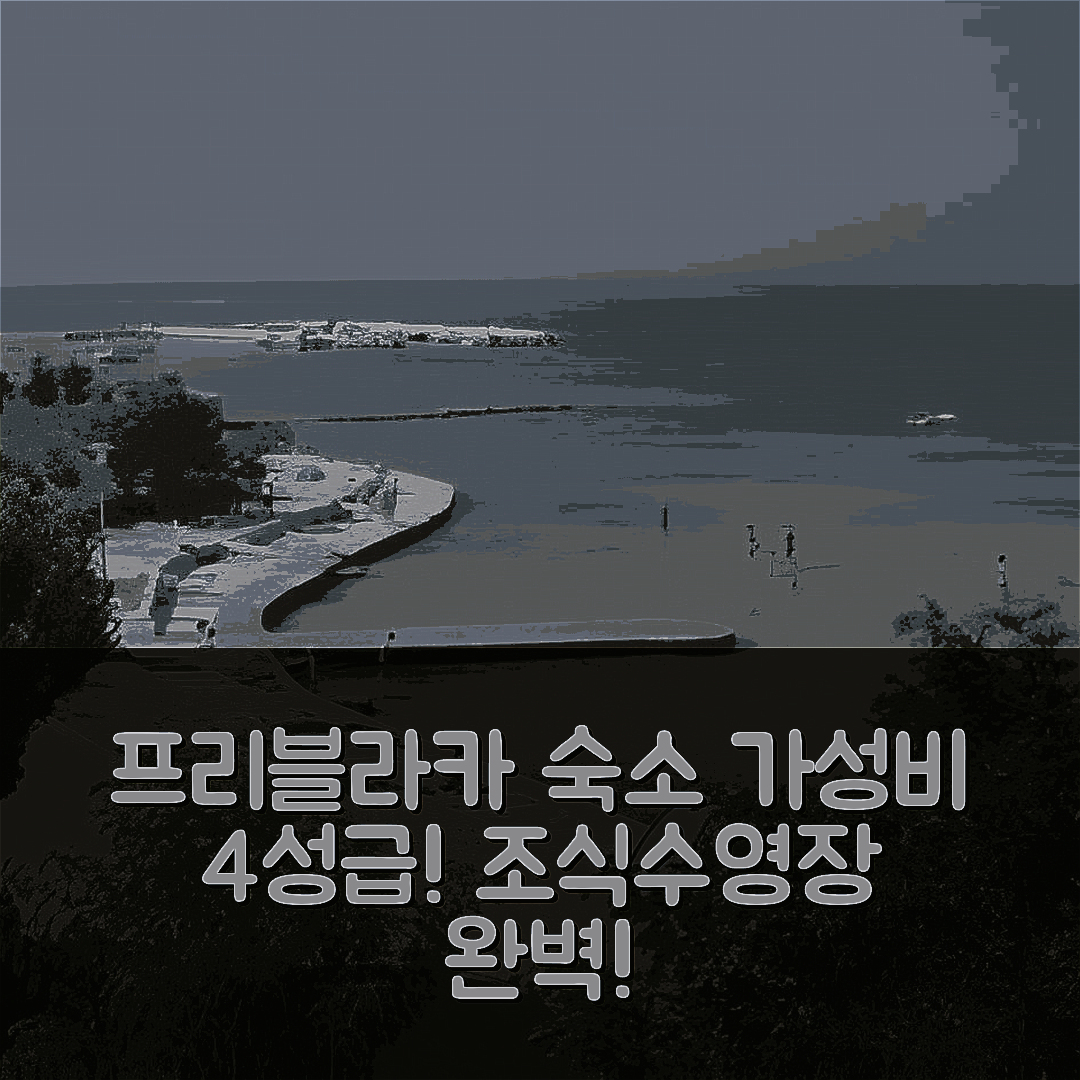 프리블라카 숙소 여행 호텔 추천 호틀 라구나 | 4성급에서 즐길 수 있는 가성비와 조식, 수영장 5가지 이유
