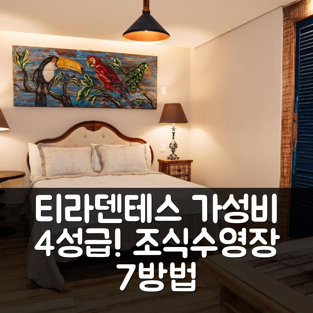 티라덴테스 숙소 여행 호텔 추천 포우사다 두 라르고 | 가성비 좋은 4성급 조식과 수영장 즐기는 7가지 방법