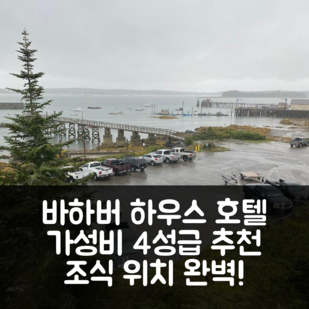 바하버 숙소 여행 호텔 추천 하버 하우스 호텔 | 가성비 뛰어난 4성급 조식과 위치 정보 7가지