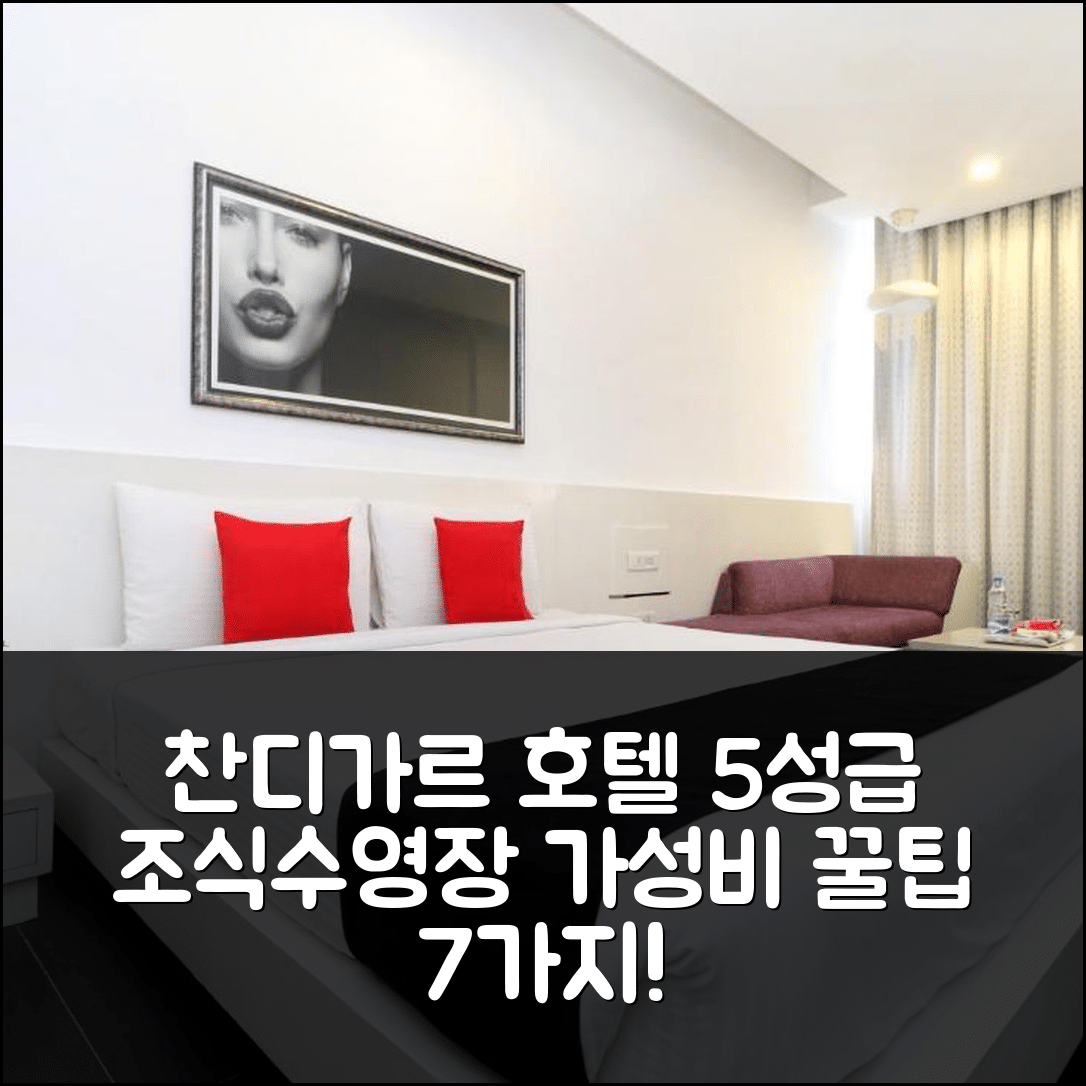 찬디가르 숙소 여행 호텔 추천 더 토이 호텔 | 5성급 조식과 수영장이 매력적인 가성비 좋은 선택 7가지 팁
