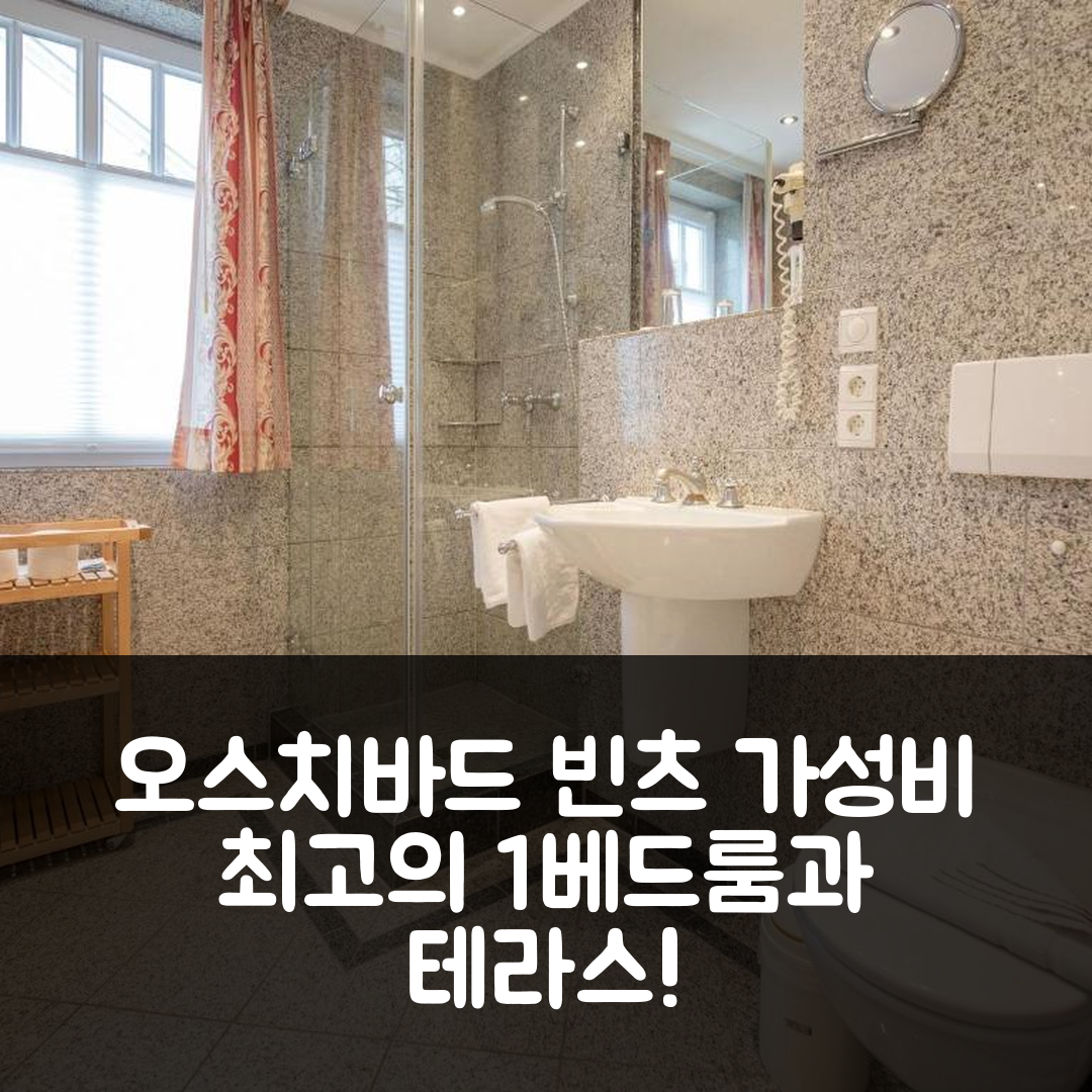 오스치바드 빈츠 숙소 여행 호텔 추천 두넨파크 빈츠 | 1베드룸과 테라스, 가성비 뛰어난 5가지 매력