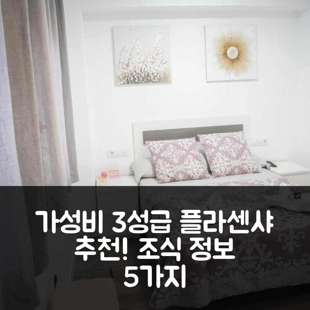 플라센샤 숙소 여행 호텔 추천 호스탈 고예스코 플라자 | 가성비 뛰어난 3성급 위치와 조식 정보 5가지