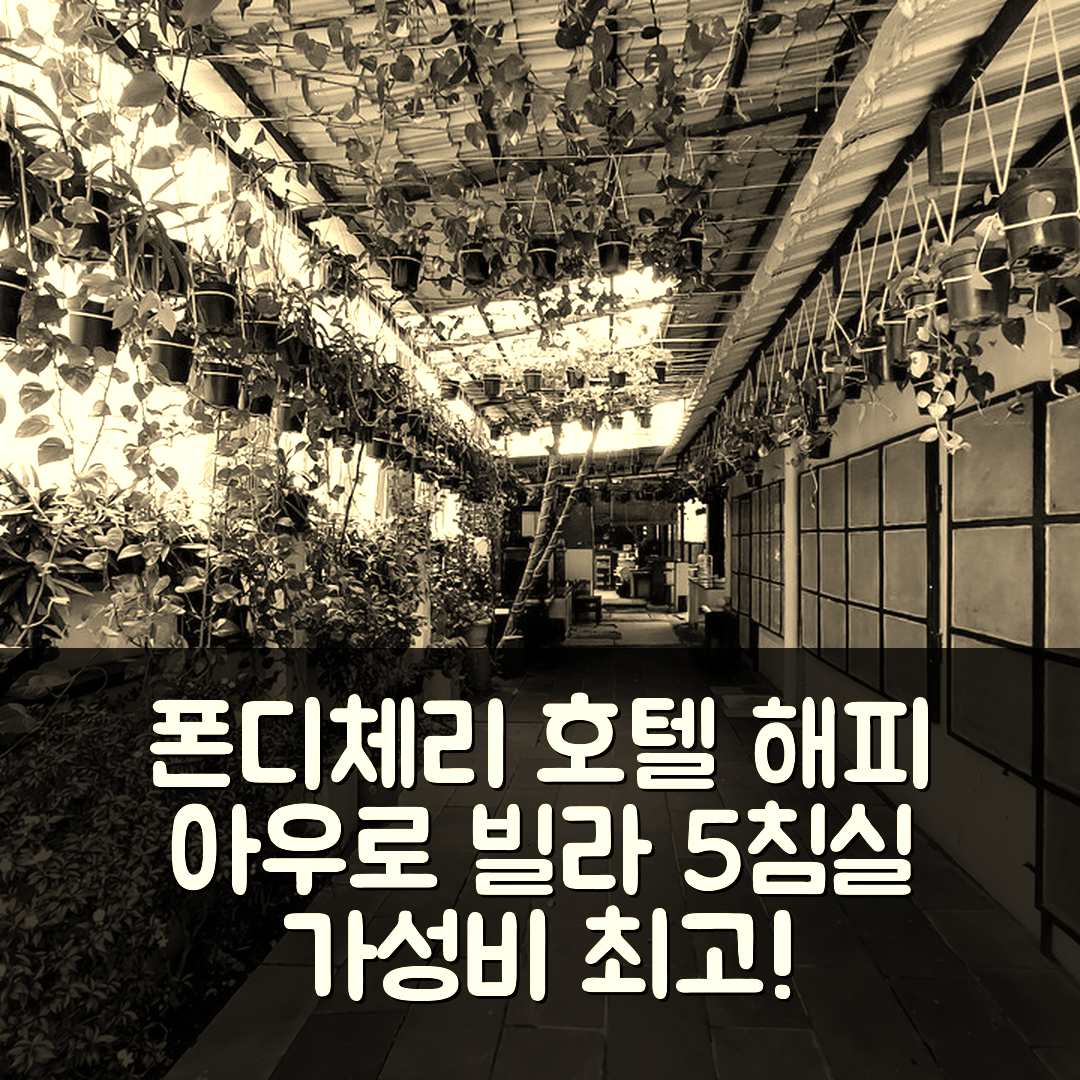 폰디체리 숙소 여행 호텔 추천 해피 아우로 빌라 | 5개 침실 프라이빗 욕실과 가성비 최고의 위치 7가지 팁